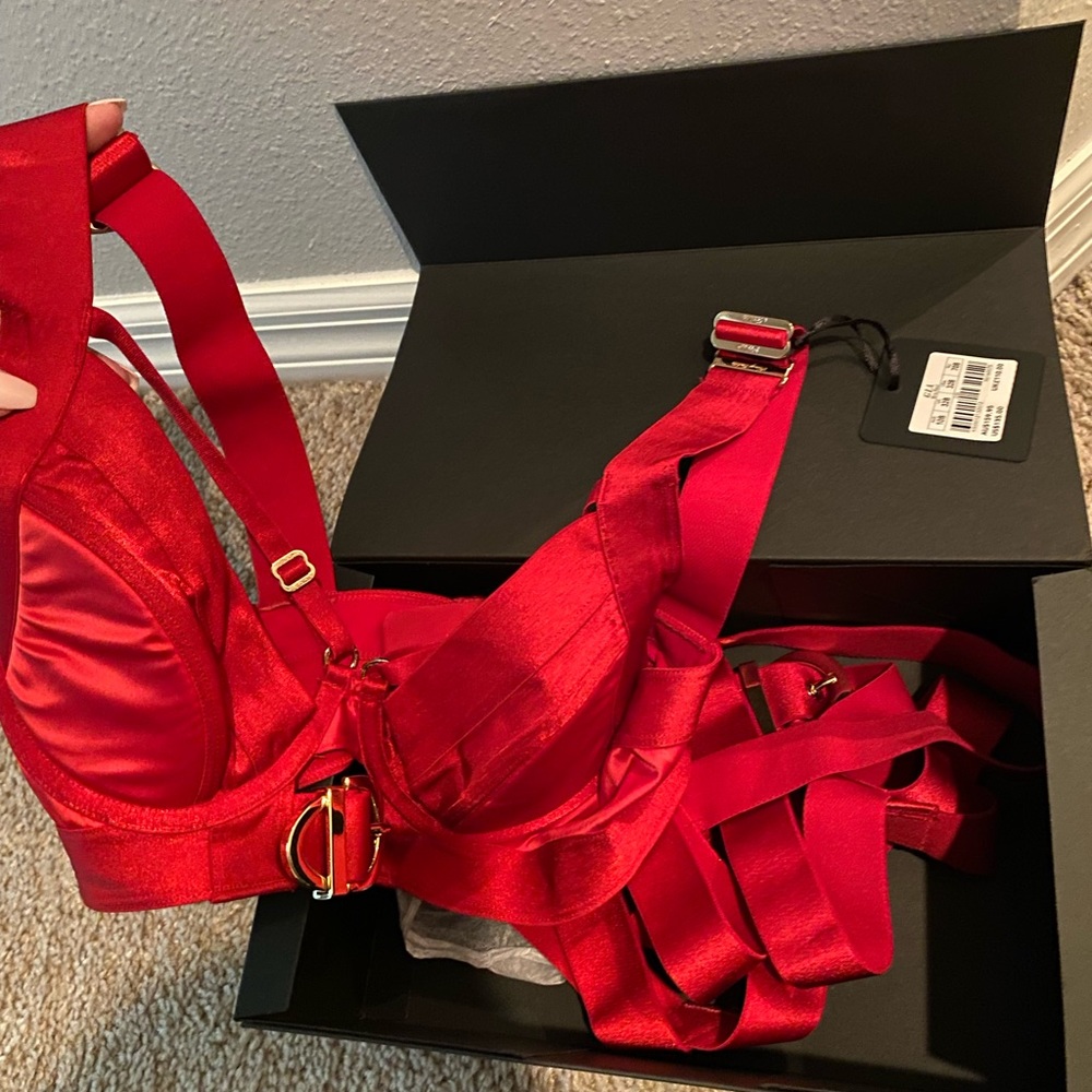 โค๏ธโ๐ฅ HONEY BIRDETTE GIA BRA & HARNESS NWT SIZE 32B RED - Picture 10 of 10